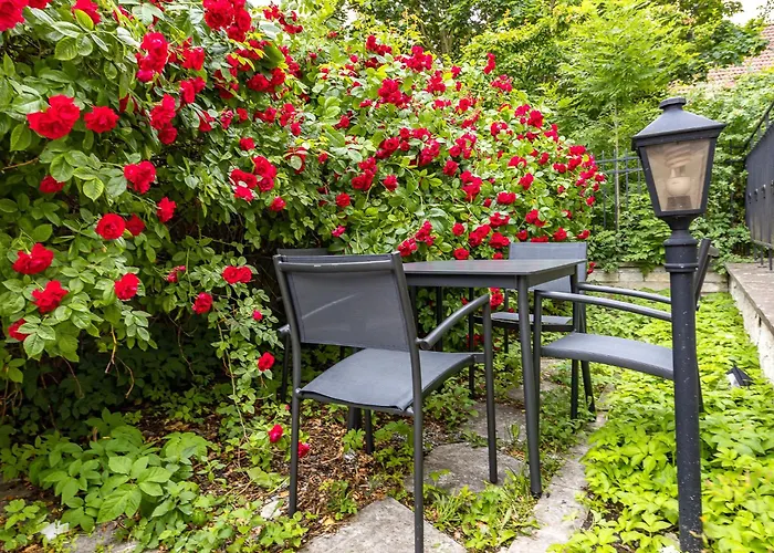 Tallinnhousing Old Town Elegance Vana-Viru