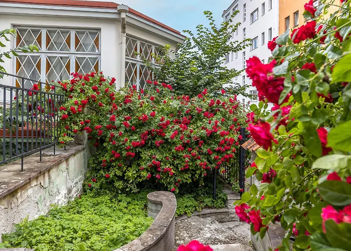 Tallinnhousing Old Town Elegance Vana-Viru