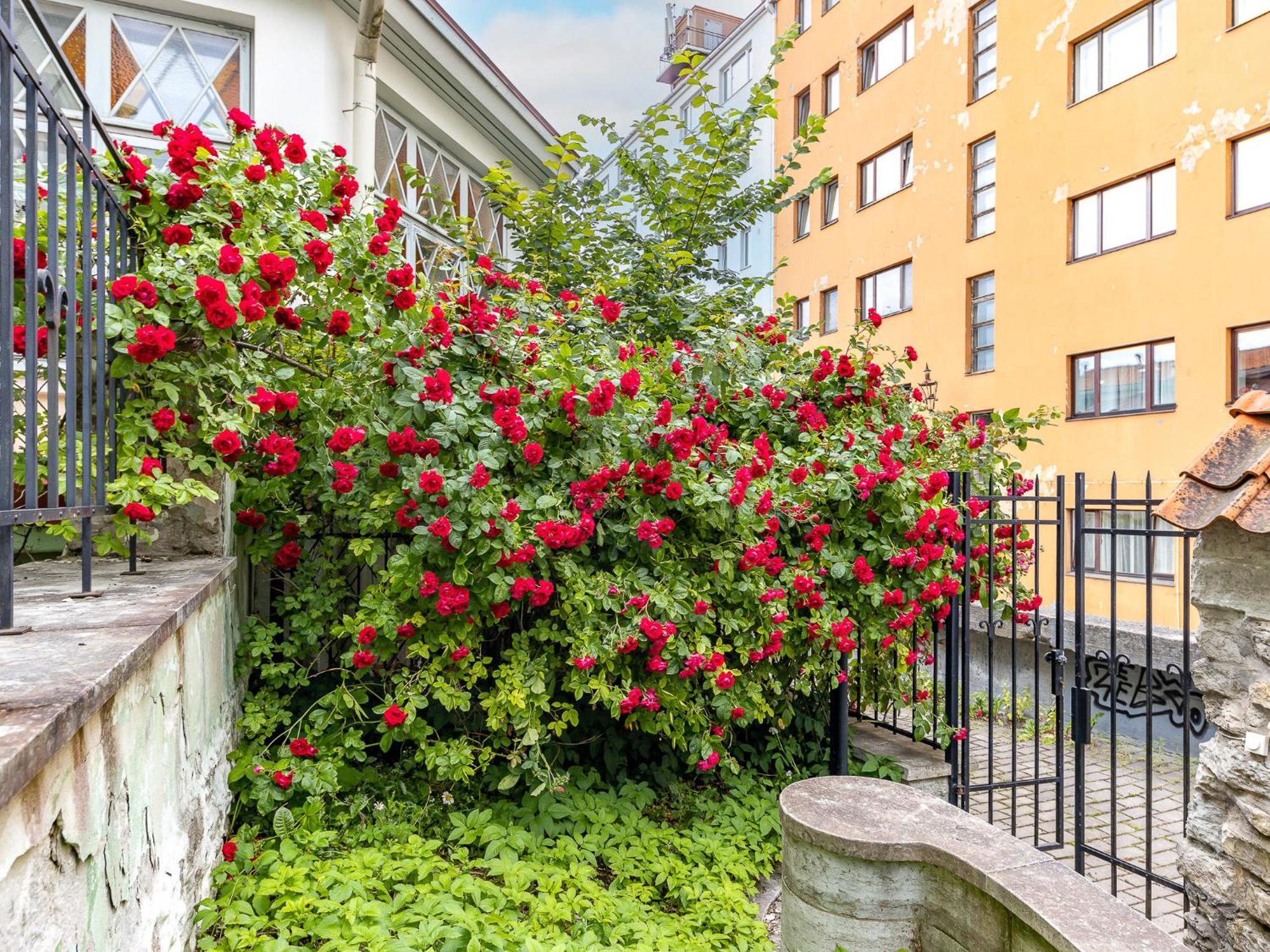 Tallinnhousing Old Town Elegance Vana-viru Apartamento